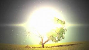 THE HURT & THE HEALER Lyrics - MERCYME | eLyrics.net