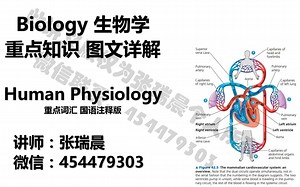 AP生物学 AP biology AP bio 课程 四大章视频超细致讲解 每个章节2小时共8个多小时的全网最深度讲解