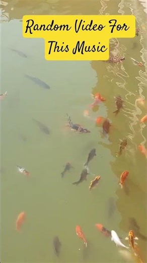 Trending Audio #music #newmusic #trending #shortsfeed