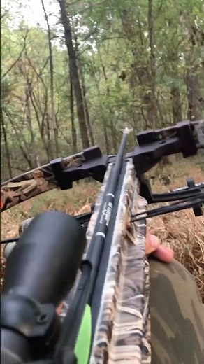 Whitetail hunting with crossbow #archery #bowhunting #wildlife #hunting #outdoors
