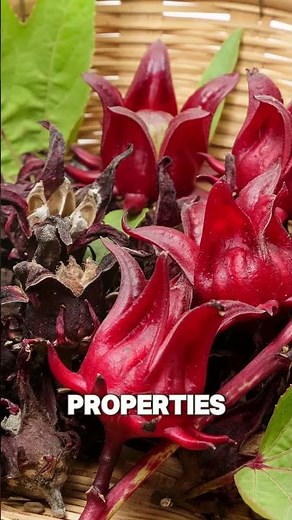 Hibiscus Tea for Blood Pressure & Heart Health Support