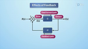 Video: Effects of feedback