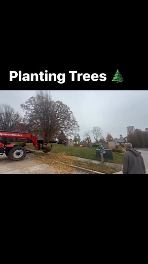 Watch these trees transform this space 🌳🤍 Springfield landscapes grow better with intentional planting and care. The best time to plant trees is this time of year when the leaves have mostly fallen and the trees begin preparing for the winter. Contact us today if you are interested in planting some trees! #BotanicoOfTheOzarks #SpringfieldMO #SpringfieldLandscaping #417Landscaper #TreePlanting #LandscapeInstall #MissouriLandscaping | Botanico of the Ozarks