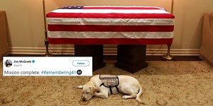 George H.W. Bush's service dog Sully pictured keeping watch over his coffin