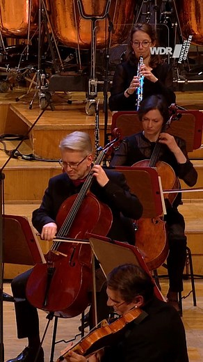 6.6K views · 166 reactions | Did you spot all the #angrybirds ? #funny #gaming The WDR Funkhaus #orchestra plays the music of "Angry Birds". | WDR Funkhausorchester | Facebook