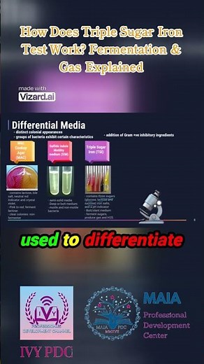 Triple Sugar Iron Test: What You Need to Know! #ivypdc