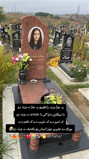 Exploring Emotions in War: A Reflection on Ukraine