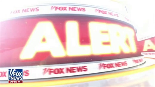ICE agents absolutely LOVE the idea of being sent into airports.People don’t realize airports are CRAWLING with illegals.This might just be one of President Trump’s best ideas yet 😏