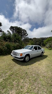 19K views · 652 reactions | #w124 #200 | The Old Merc Guy | Facebook