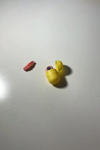 Chocolate Egg Surprise: Unveiling Model Parts