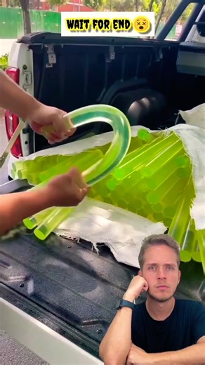 Magic Stick Trick You Won’t Believe! 😱✨ #shorts