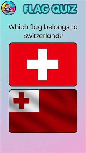 🌟 Can You Guess This Flag Without Help #guesstheflag #shorts #geography