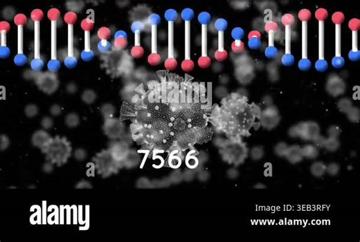 Animation of dna strand over coronavirus cells floating. Global medical research communication and data networking concept digitally generated video Stock Video Footage - Alamy