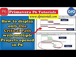 How To Display Only One Critical Path With Multiple Projects Opened In Primavera P6 || dptutorials