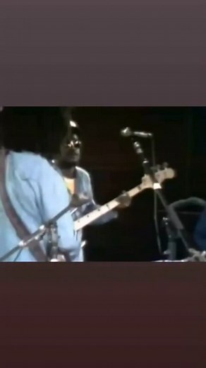 3.7K views · 6.4K reactions | The Wailers on Reels | Facebook