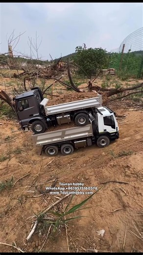 Double trouble 😈 Overload action on the 1/14 scale dump truck, this rig handles it like a champ 🤯🚛💥 #rcchick #toucanhobby #lulu #rc #rcdumptruck #rctruck #rcconstruction #rcequipment #heavyequipment #rcscale #rclife #rchobby #rccrawler #fullmetalrc #rcmodel | Toucanhobby RC Model