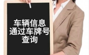 车辆信息如何快速查询