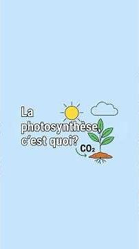 La photosynthèse, c’est quoi ?