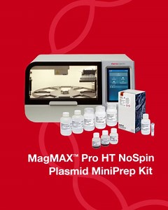 The future of plasmid prep is here! Save time and boost efficiency...