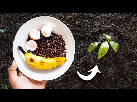 How to Use Eggshells, Banana Peels, and Coffee Grounds in the Garden