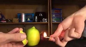 Easy Peasey Lemon Squeezey Did you know lemon rinds contain limonene, a type of oil? Well now you do! Comment how many times you watched the video... | Make Science Fun