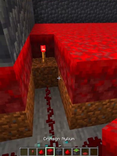 Minecraft Secret Door💀