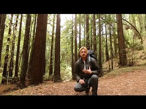 Basic Camping and Backpacking Trailer Video for Curious.com