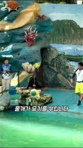 묘기 부리는 물개 #물개 #묘기#물개쇼 #동물쇼 #동물영상 #귀여운동물#신기한동물 #곡예#균형잡기#수족관#아쿠아리움#쇼츠#유튜브쇼츠#shorts #seal#seallion