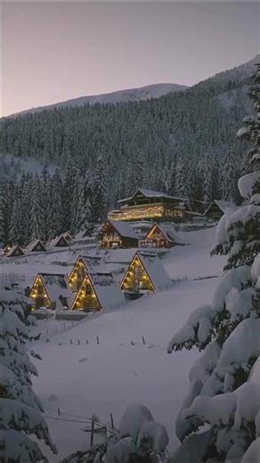 A-Frame + Glamping = 📈
