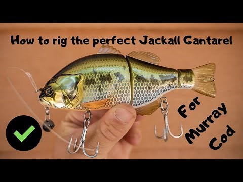 How to rig the perfect Jackall Gantarel for Murray Cod