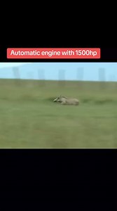 185K views · 3.6K reactions | Does Mr v20 has spring legs  | Trizah pope | Facebook