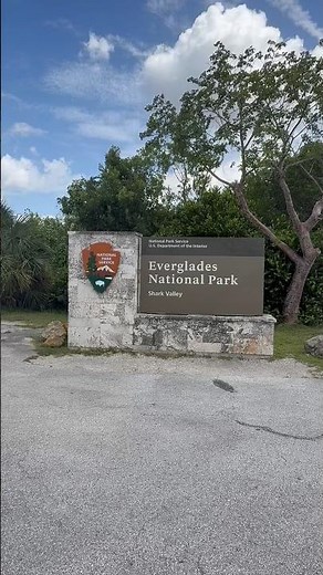 Discover the Beauty of Everglades National Park