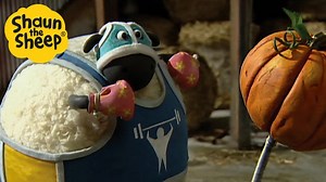 1.1K views · 15 reactions | Shaun the Sheep  Shirely Gets in Shape ‍♂️ Full Episodes Compilation [1 hour] - Shaun the Sheep Official #fullepisodes #shaunthesheep #English | Shaun the Sheep Fans | Facebook