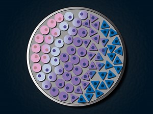 Broad Institute News