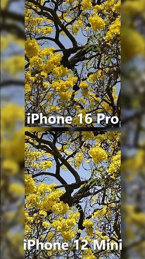 iPhone 12 Mini Camera Test in 2025 : WOW !
