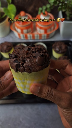 Chocolate Cupcakes | Soft, Moist & Easy Homemade Cupcake Recipe 🍫🧁