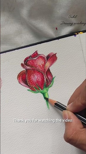 "How to Draw a Realistic Red Rose 🌹 | Step-by-Step Easy Drawing for Beginners | Flower Art Tutorial