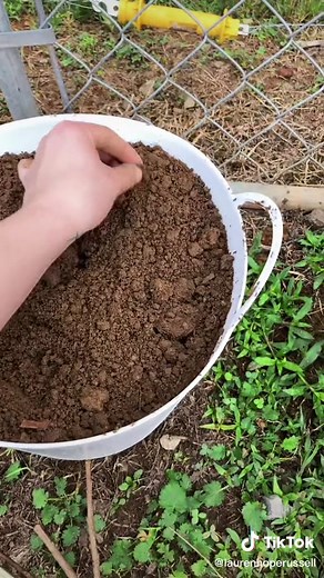 How to Propagate Crepe Myrtles: Step-by-Step Guide