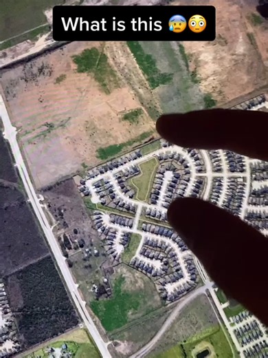 Download Your Free App Now!