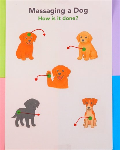 222K views · 623 reactions | Dog Massage Tricks | Magic Hands Creations | Facebook