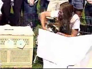 Bunny Clicker Training Pt. 1