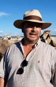 61K views · 2.6K reactions | En 7 hectáreas se cargan 75 animales en...