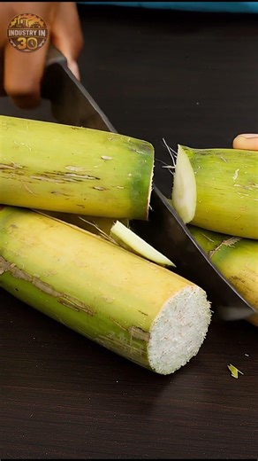 How Sugarcane Replants🌱 | Farm Process in 30 Seconds