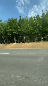 31K views · 110 reactions | WATCH the moment a fuel tanker caught on fire on the M25, setting off a wildfire along the carriageway by Orpington. Read the full story here... https://www.newsshopper.co.uk/news/20288987.watch-huge-fuel-tanker-fire-cause-m25-orpington-closure/ | News Shopper | Facebook