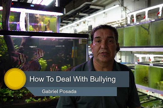 Solving Discus Bullying and Aggression | Jack Wattley Discus