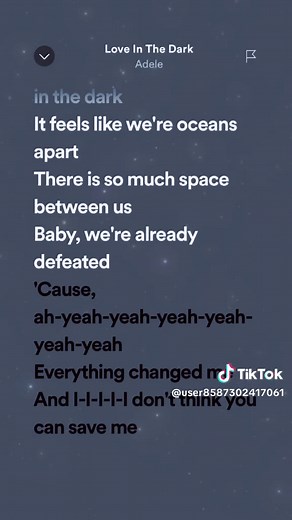 Love in the Dark - Adele Full Lyrics