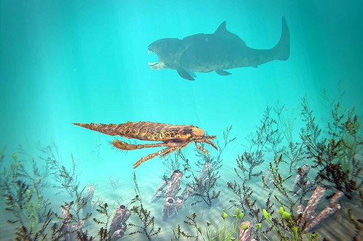 When Sponges, Trilobites, and Jawless Fish Ruled the Earth