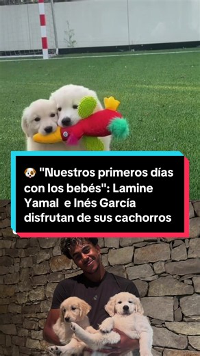 Nuestros primeros días con los bebés: Lamine Yamal e Inés García y sus cachorros