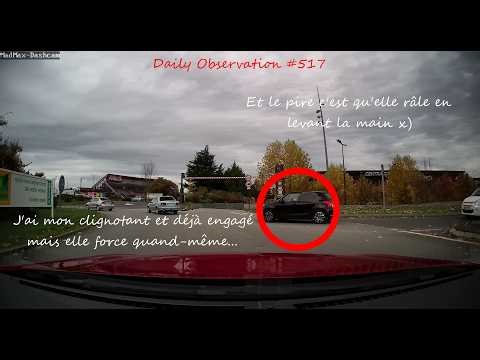 Daily Observation #517 - Elle force au giratoire...