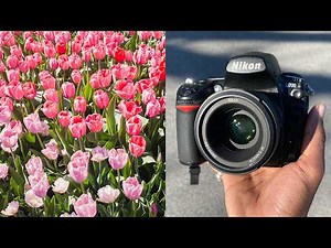 The Nikon D700 and 50mm Make Everything a Masterpiece